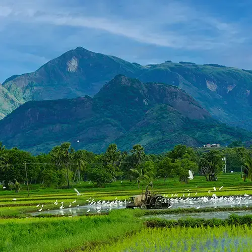 Kollengode - Tourist Destination in Palakkad, Kerala